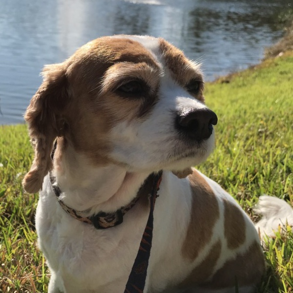 Meet your Posher, Meg